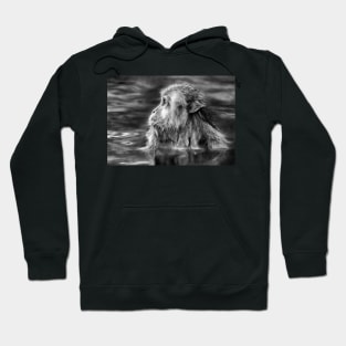 Heaven In Hells Valley Hoodie